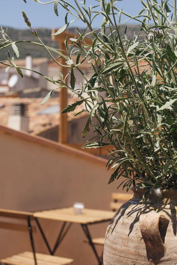 Apartaments La Rambla - Licorella - 4 Persones Cornudella de Montsant Kültér fotó