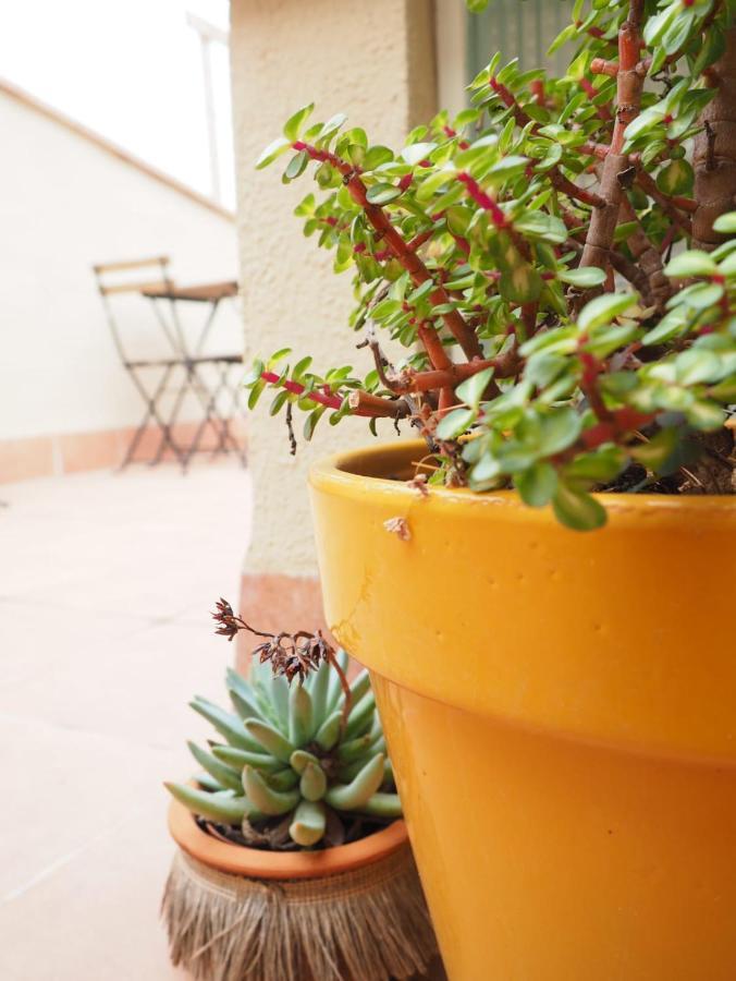 Apartaments La Rambla - Licorella - 4 Persones Cornudella de Montsant Kültér fotó
